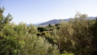3-villa-luna_borgo-piazza_panorama