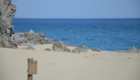 Cancro-spiaggia-davanti
