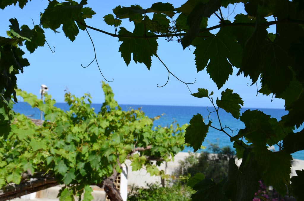 Capricorno-Toro-vista-mare