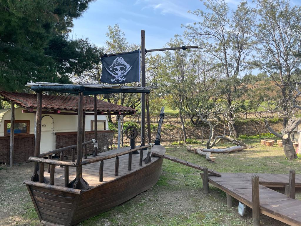 WhatsApp Image 2023-03-22 at 10.56.43 (1)