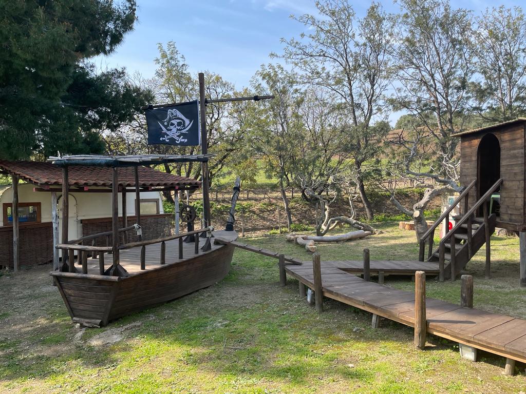 WhatsApp Image 2023-03-22 at 10.56.43