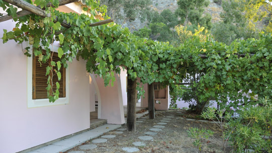 corte-interna-TORO-CAPRICORNO