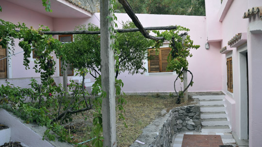 corte-interna-VERGINE-LEONE