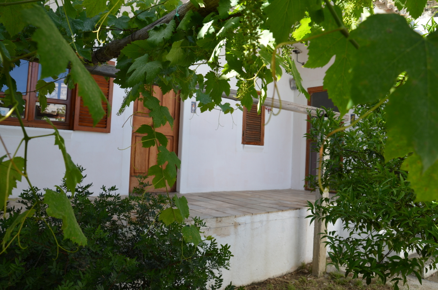 scorcio-vergine-leone-1400x927