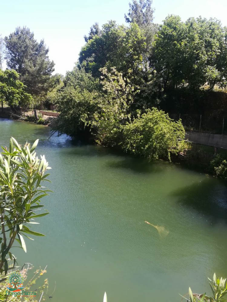 suite-borgo-piazza-4