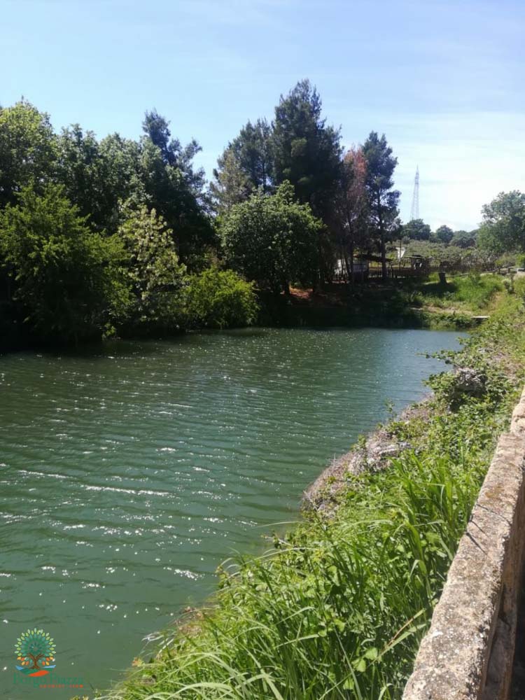 suite-borgo-piazza-5