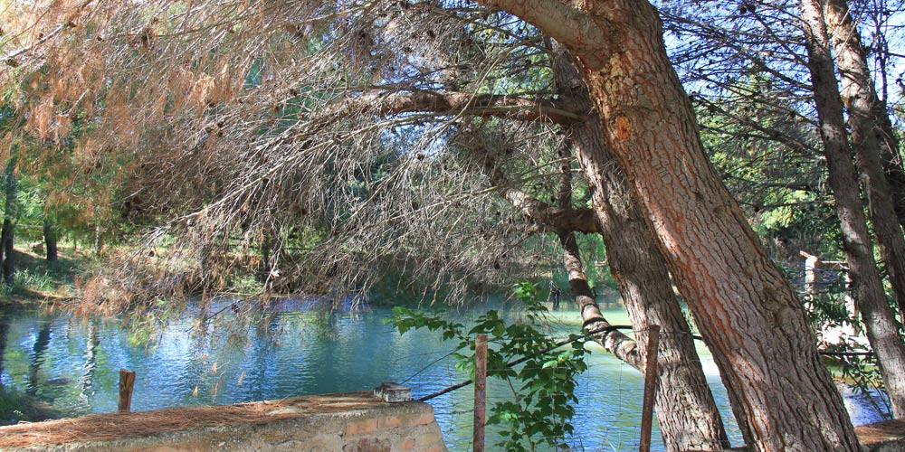 suite-borgo-piazza-6