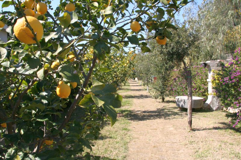 viale-dei-limoni