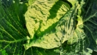 IMG-20191228-WA0009
