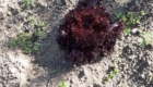 IMG-20191228-WA0012