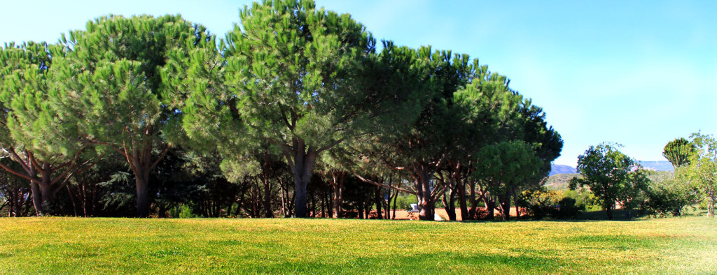 eventi-borgo-piazza-wedding-country-3